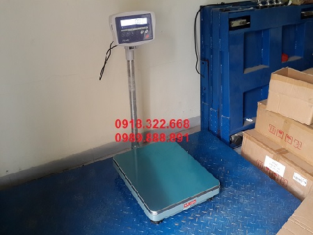 SKW-30 Table scale