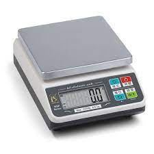 Electronic scale