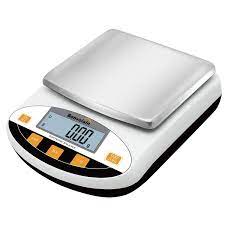 Electronic scale