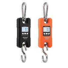 Hook scale