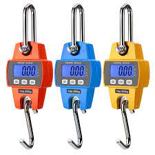 Hook scale