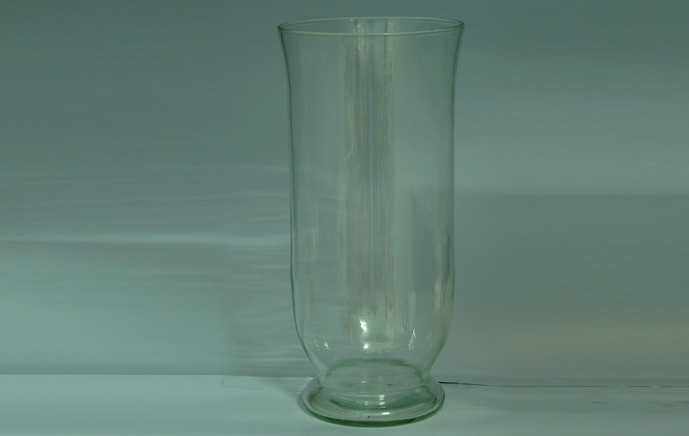 Glass flower vase