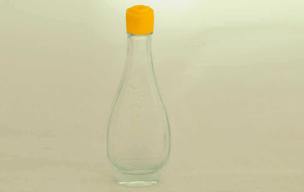 Household bottle