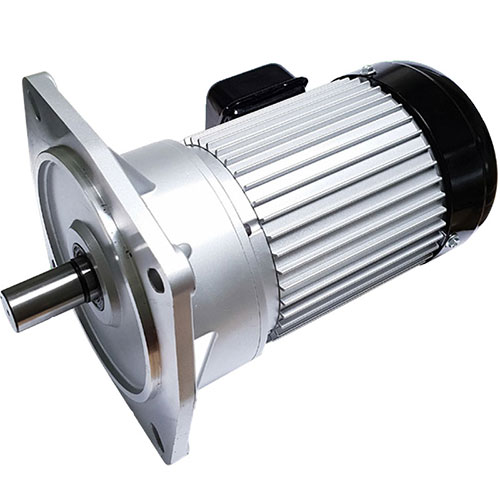 Conveyor motors