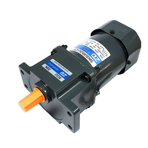 Conveyor motors