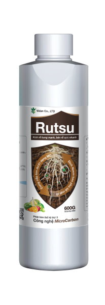 VD_Rutsu