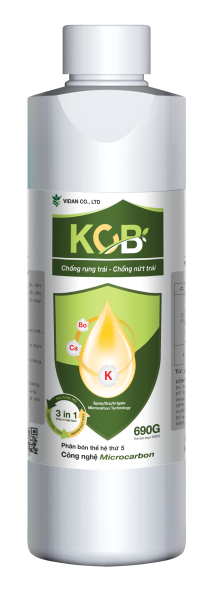 VD_KCB_ Kali calcium nitrat boron