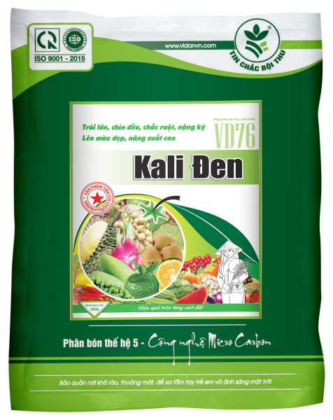 VD_Black Kali