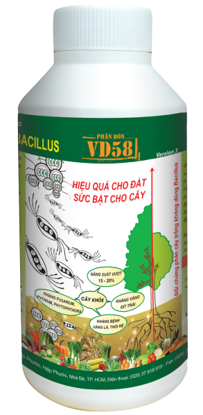 VD_Bacillus