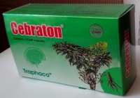 Paper box