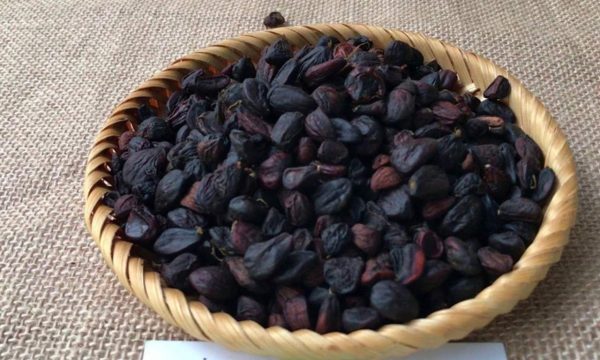 Michelia tonkinensis seeds