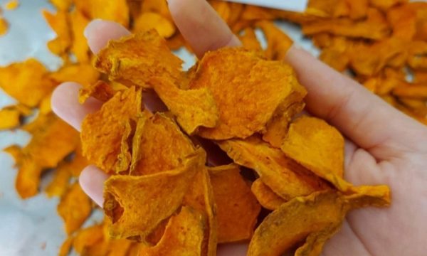 Dried turmeric slice