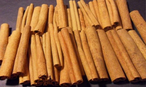 Cinamon stick