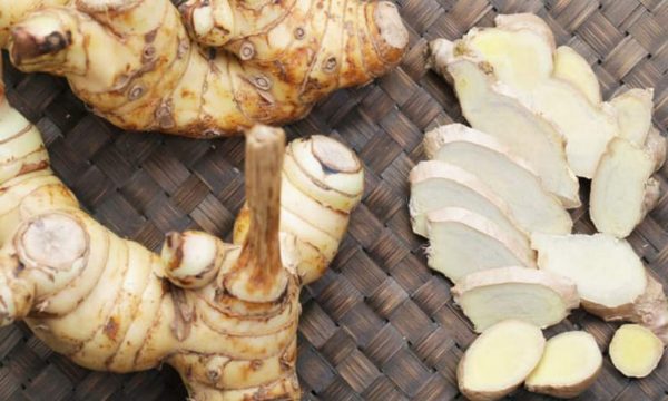 Dried galangal slice