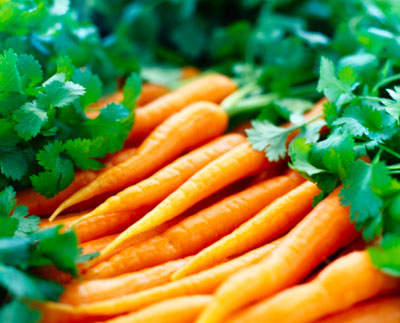 Carrot