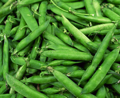 Beans