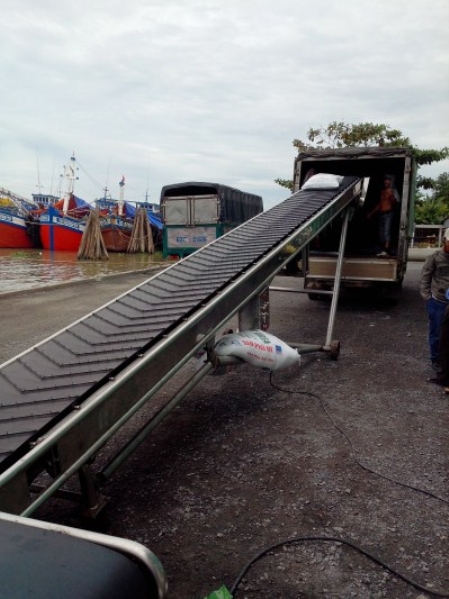 Conveyor belt
