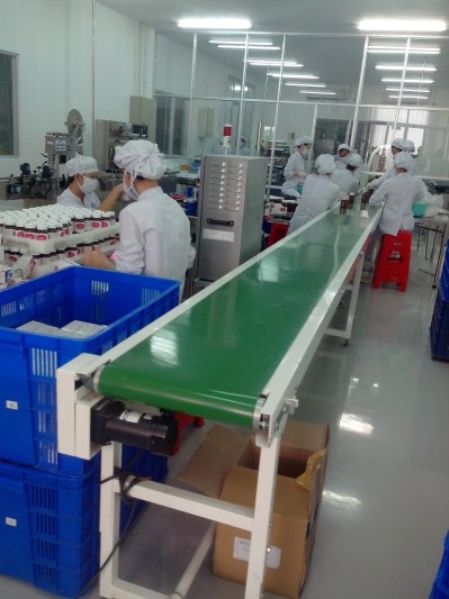Conveyor belt