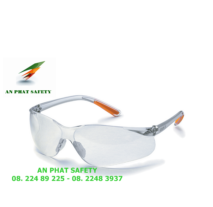 Safety goggles