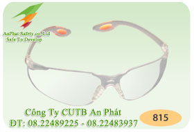Safety goggles