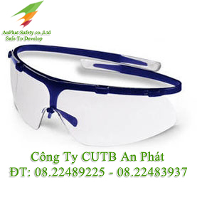 Safety goggles