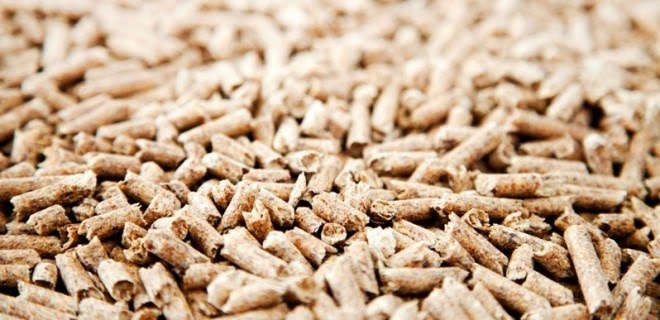 Wood Pellet
