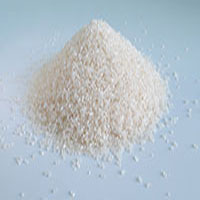 Biodegradable plastic resins