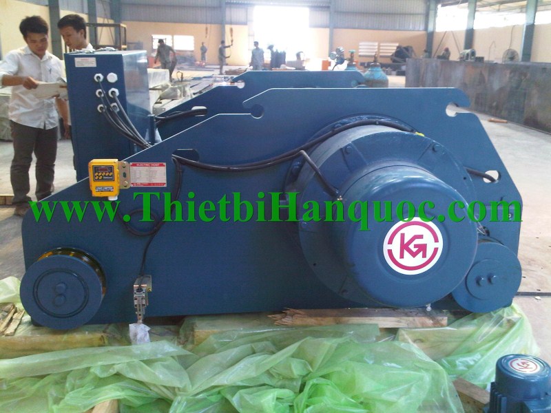 Crane hoist