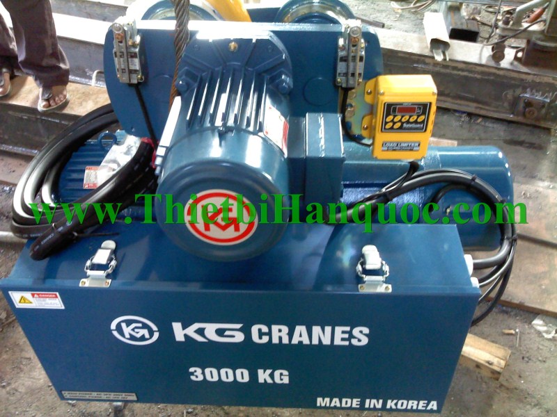 Crane hoist