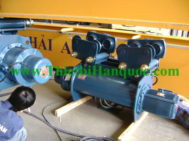 Crane hoist