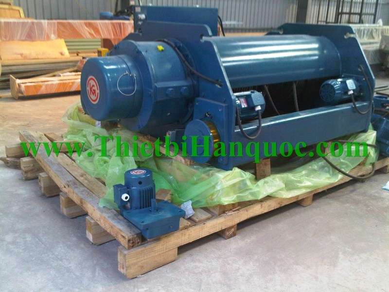Crane hoist