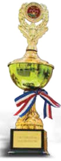 Award
