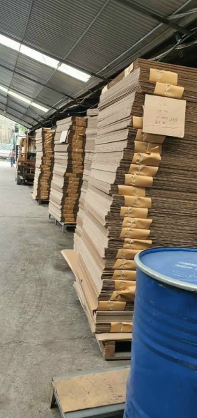 Design and print paper packaging