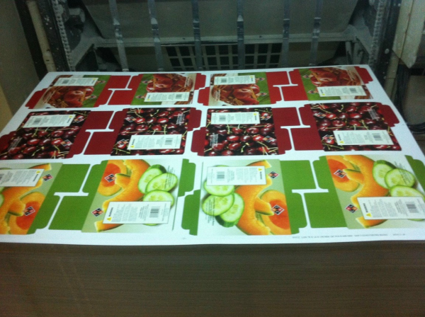 Design and print paper packaging