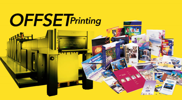 Design and print paper packaging