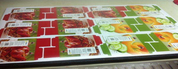 Design and print paper packaging