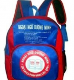 School backpack