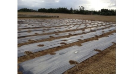 Agricultural film