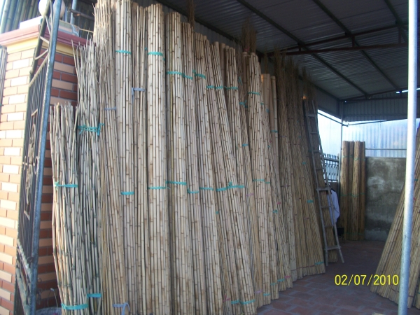 Bamboo materials