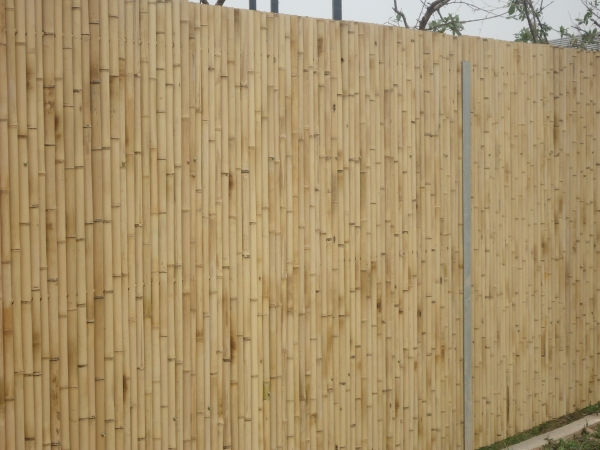 Fence
