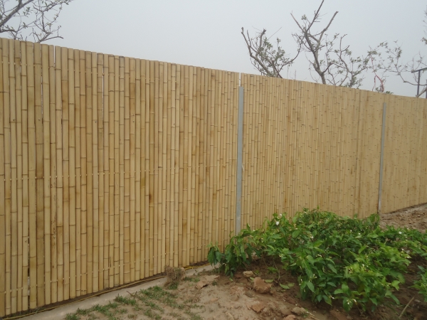 Fence