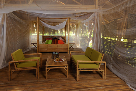 Bamboo house