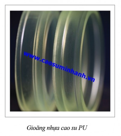 Rubber gasket