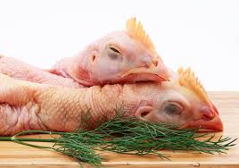 Chicken head
