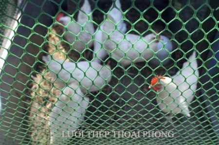 Plastic mesh