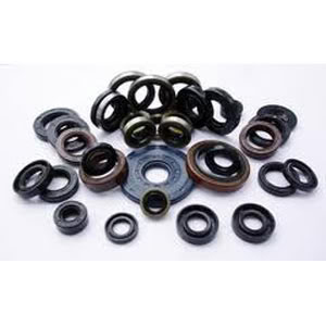 Rubber Gasket and Seal