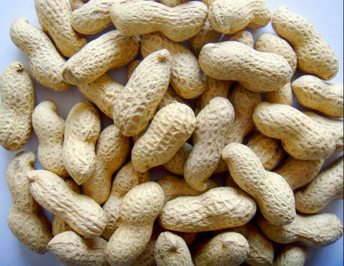 Peanut flavor