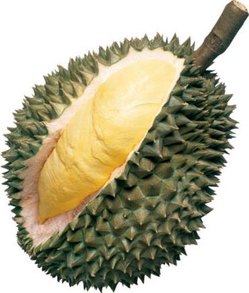 Durian flavor