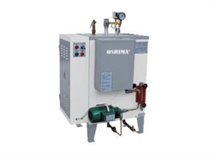 Electric boiler