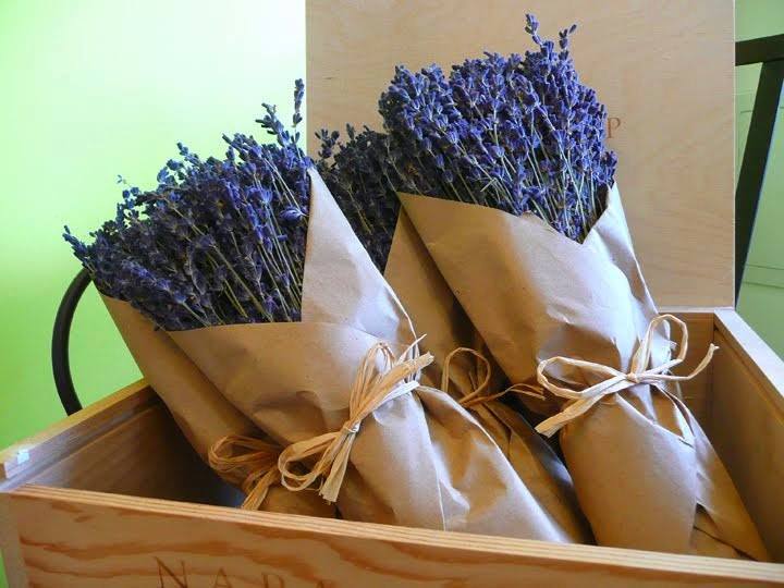 Lavender flowers